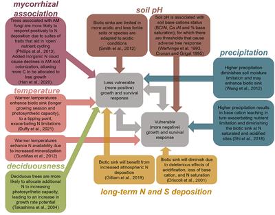 Regional variation in growth and survival responses to atmospheric nitrogen and sulfur deposition for 140 tree species across the United States